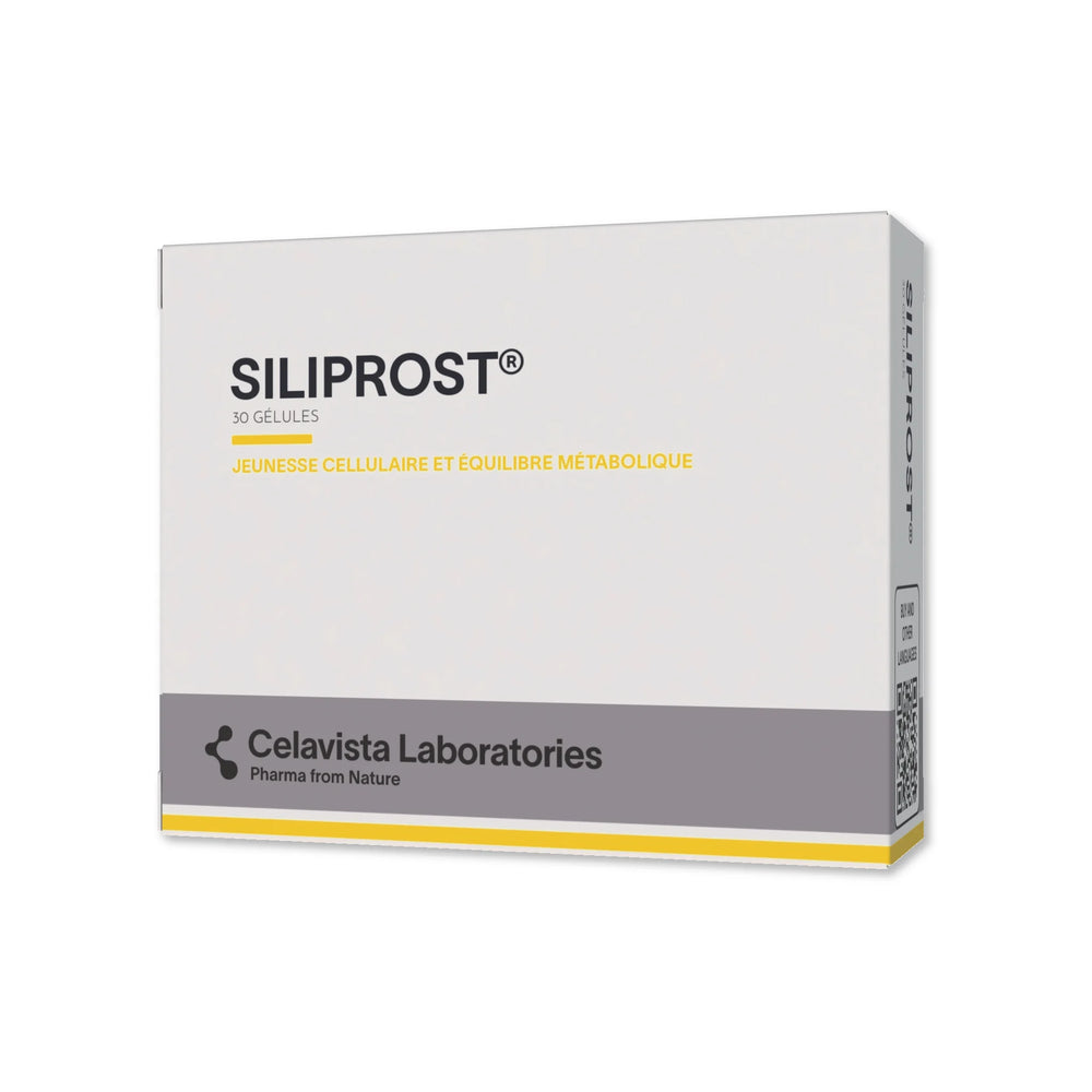 Siliprost - 1