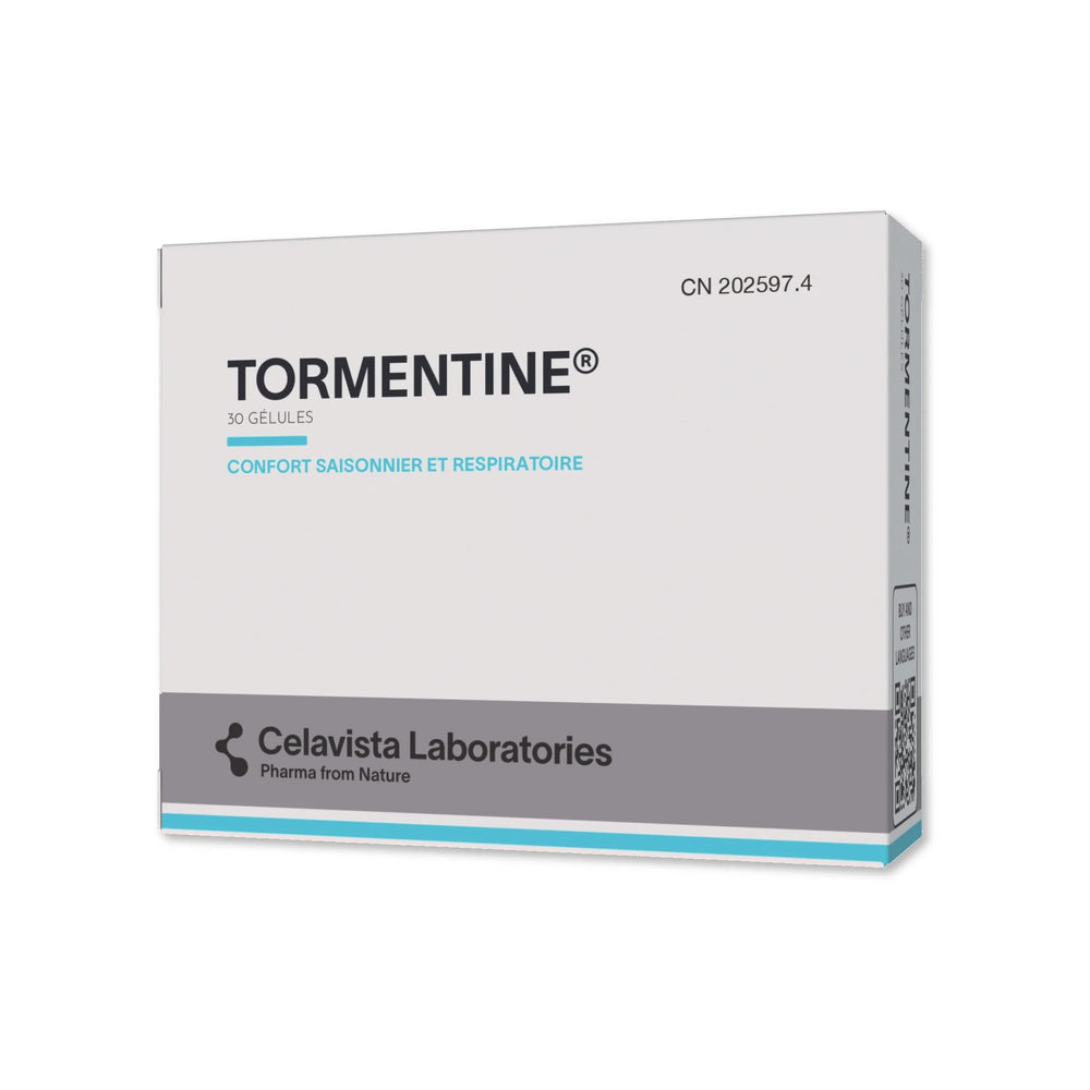Tormentine - 1