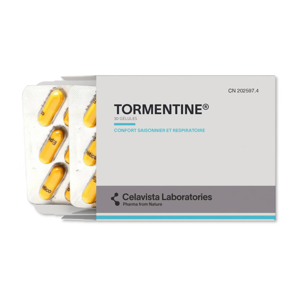 Tormentine - 2